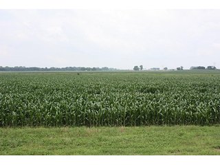 Property photo 1 - 69.3 +/- Acres offered in 2 Tracts